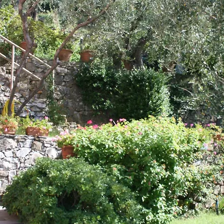 Appartement Sibilla D'oltremare - Sestri Levante